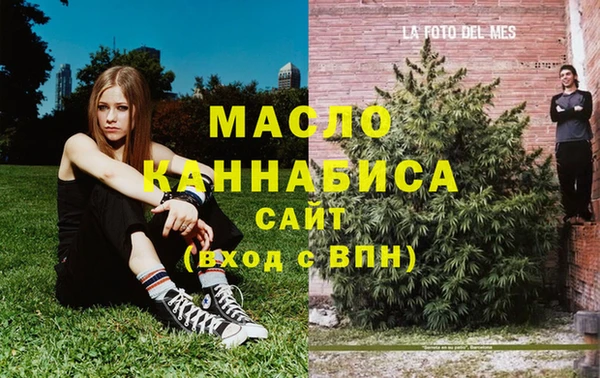 прущие крисы Горняк