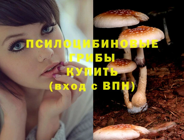 прущие крисы Горняк