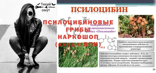 герыч Горнозаводск