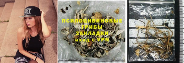 тгк Горно-Алтайск