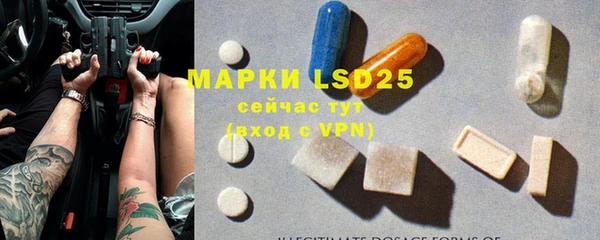 прущие крисы Горняк