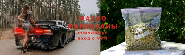 прущие крисы Горняк