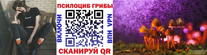 Галлюциногенные грибы мухоморы darknet формула mega маркетплейс Рыбинск где продают